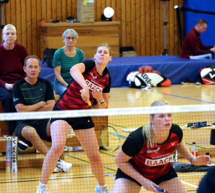 SC Itzehoe, SCI-Badminton